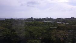 Bayshore Park (D16), Condominium #139259582
